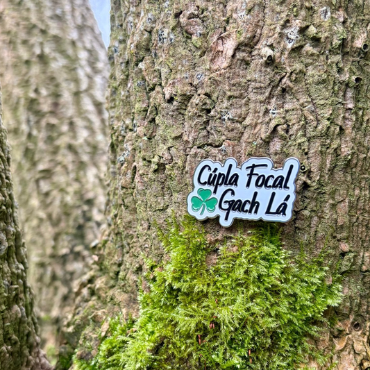 4. Cúpla Focal Gach Lá Pin Badge - GaelMade