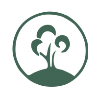 Certification icon 1