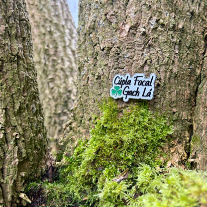 Cúpla Focal Gach Lá Pin Badge - GaelMade