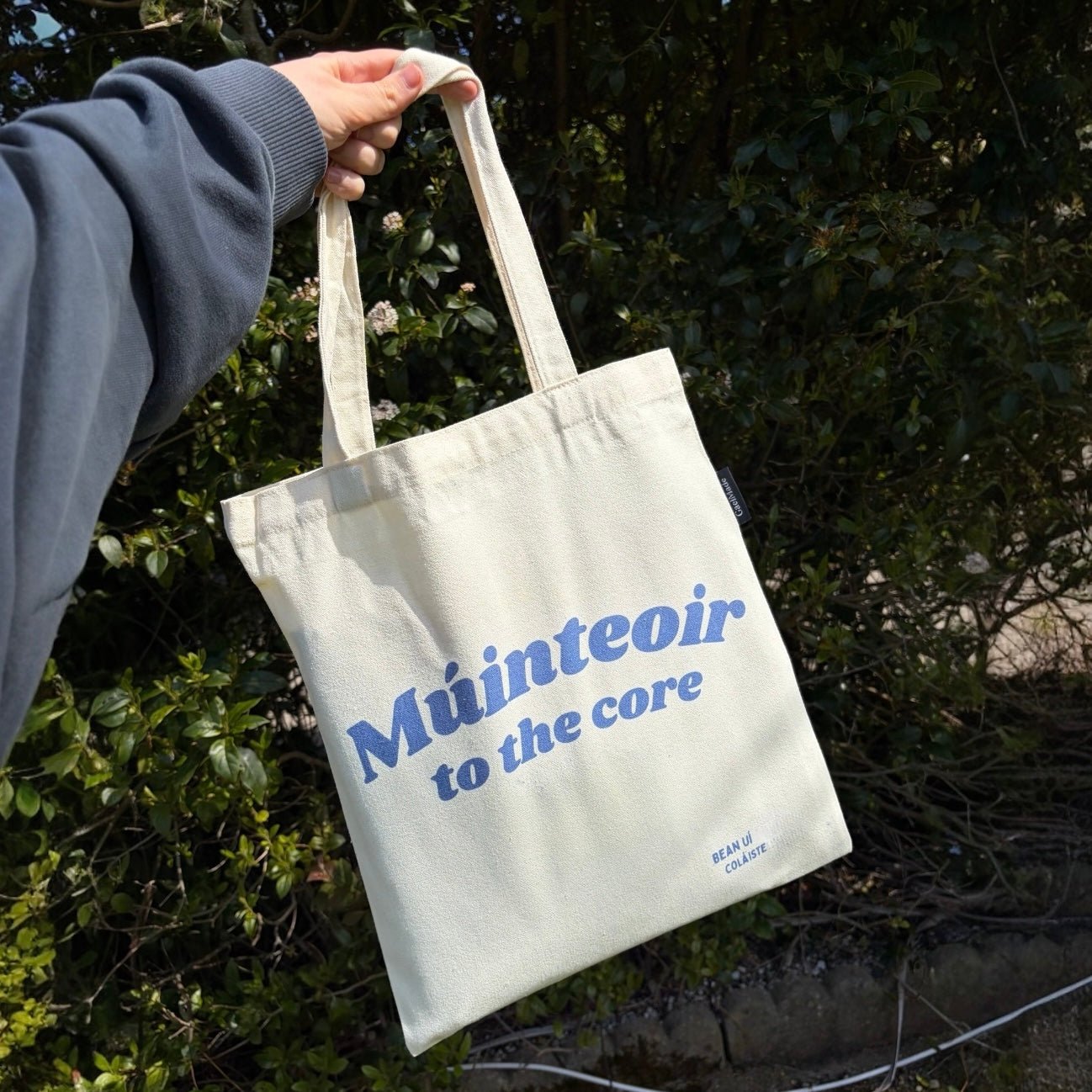 Múinteoir To The Core Tote Bag - GaelMade