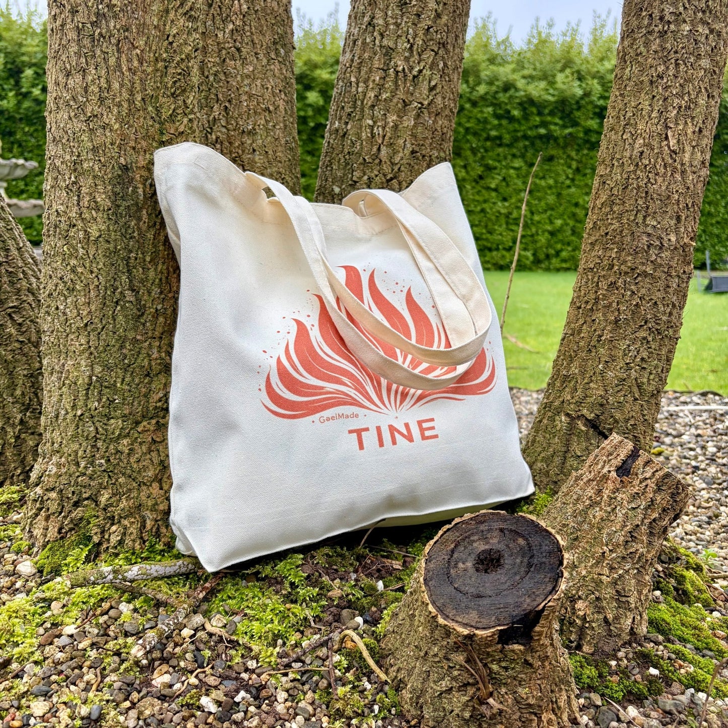 TINE - GaelMade
