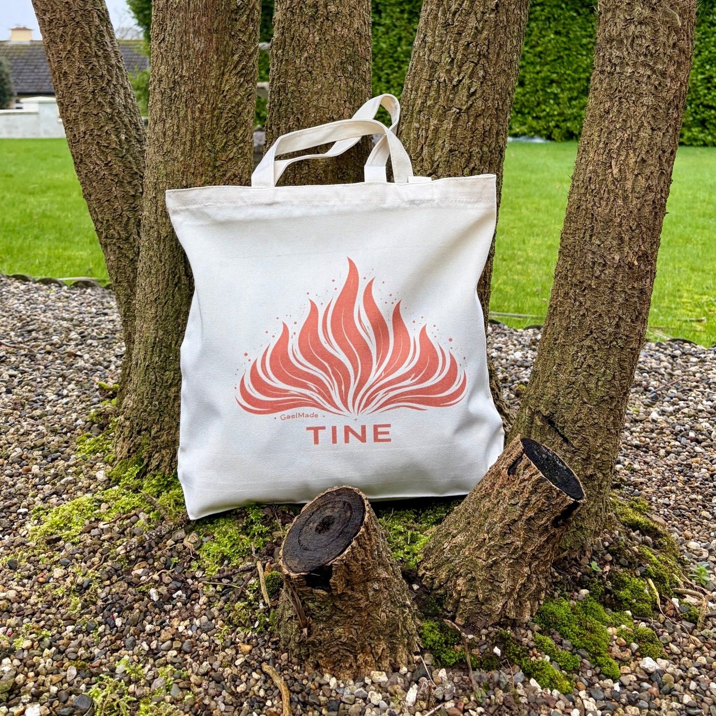 TINE - GaelMade